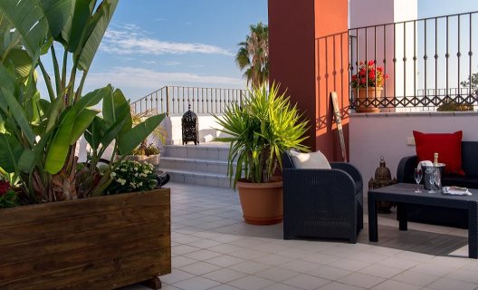 Apartamentos Plaza Cavana