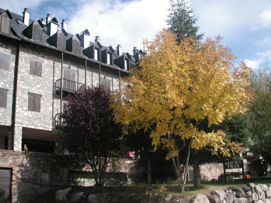 Apartamentos Pleta Bona
