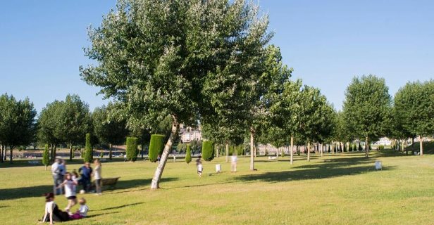 Apartamentos Portazgo