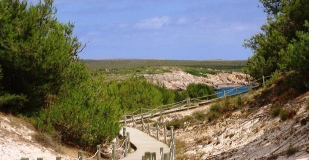 Apartamentos Posidonia