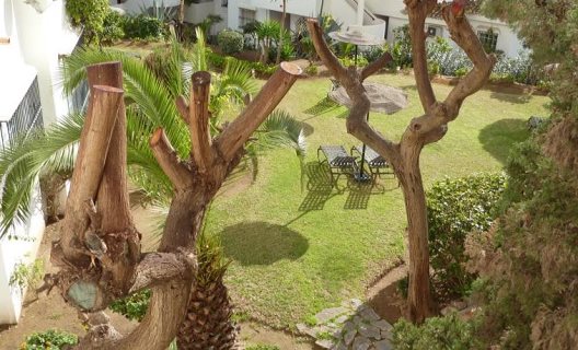 Apartamentos Pueblo Quinta Dos