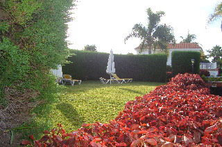 Apartamentos Residencial Las Norias