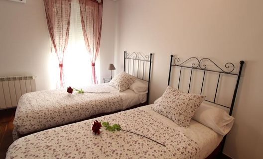 Apartamentos Roisa Centro