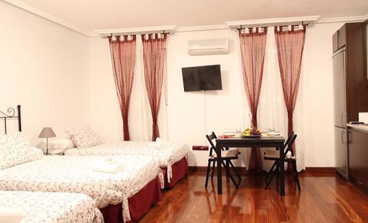 Apartamentos Roisa Centro