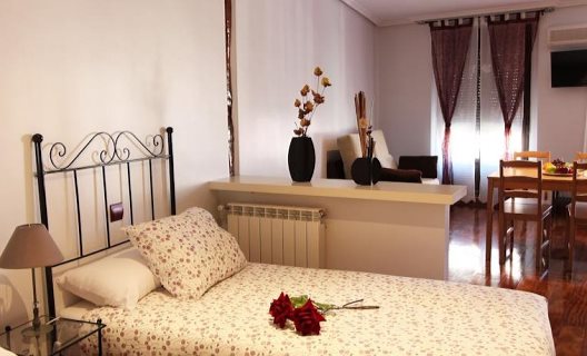 Apartamentos Roisa Centro