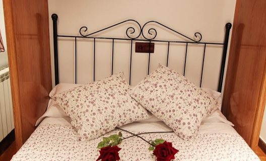Apartamentos Roisa Centro
