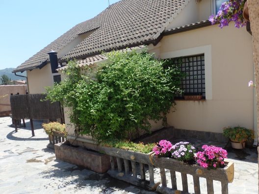 Apartamentos Roqueo De Chavela