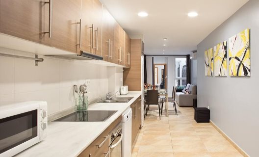 Apartamentos Sagrada Familia Duplex