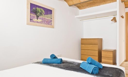 Apartamentos Sagrada Familia Duplex