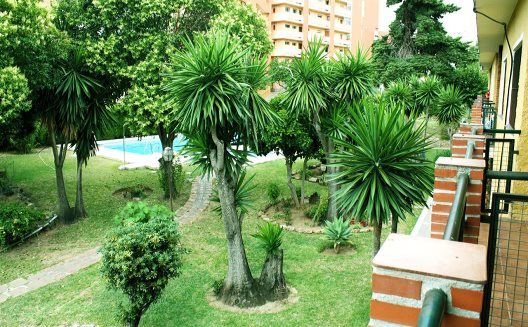 Apartamentos San Carlos