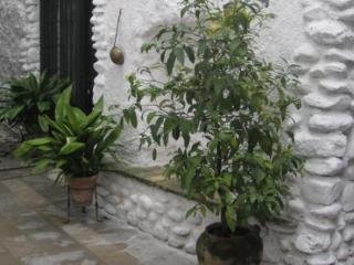 Apartamentos Santa Ana