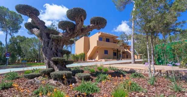 Apartamentos Ses Eufabietes