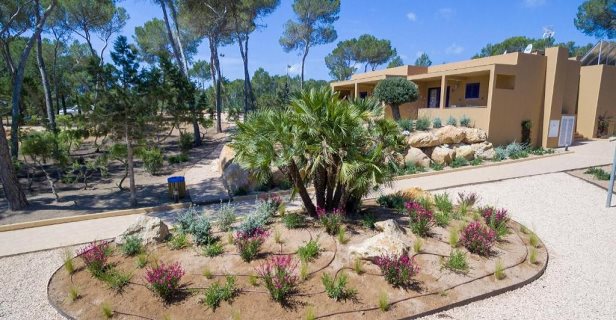 Apartamentos Ses Eufabietes