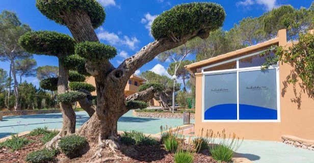 Apartamentos Ses Eufabietes