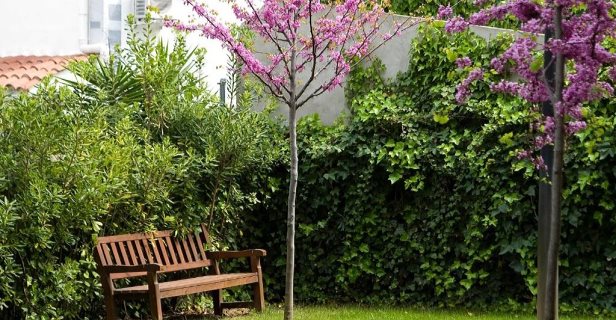 Apartamentos Sg Costa Barcelona