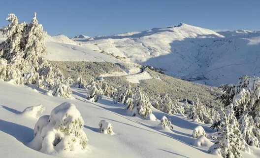 Apartamentos Sierra Nevada 3000