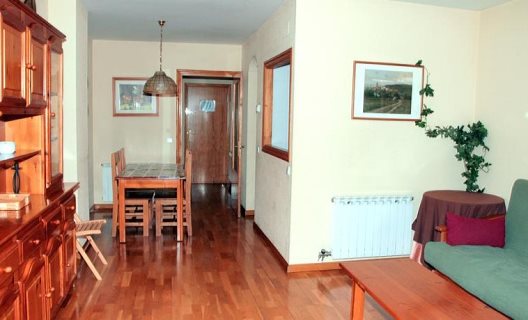 Apartamentos Somni Aranès
