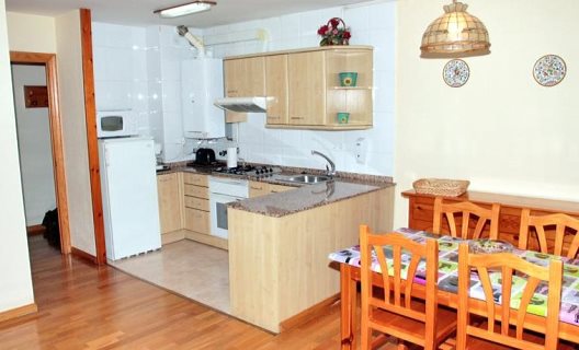 Apartamentos Somni Aranès
