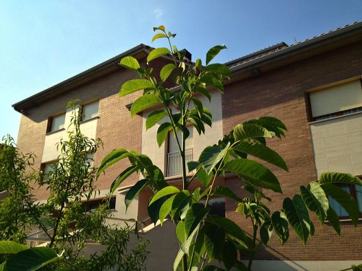 Apartamentos Sono