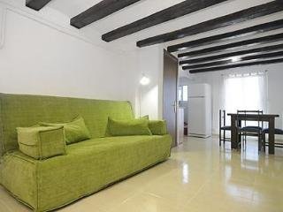 Apartamentos Suites Barcelona Ara367