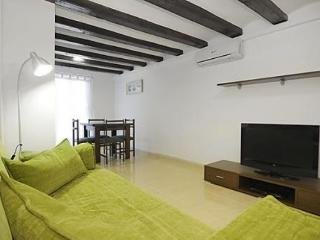 Apartamentos Suites Barcelona Ara367