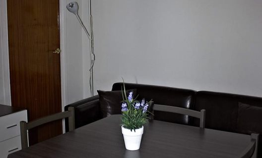 Apartamentos Suites Gracia Estudios