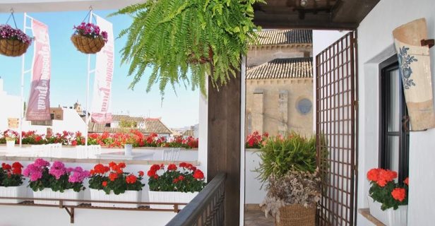 Apartamentos Suites La Posada De Pilar
