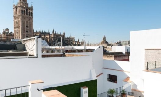 Apartamentos Suites Murillo Segovias