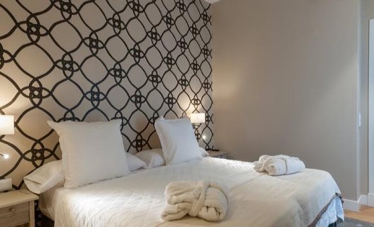 Apartamentos Suites Murillo Segovias