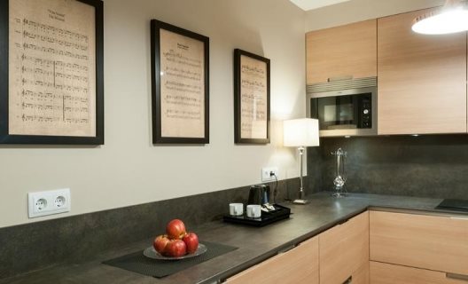 Apartamentos Suites Murillo Segovias
