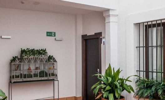 Apartamentos Suites Murillo Segovias