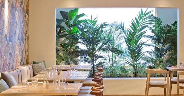 Apartamentos Sunset Beach Club
