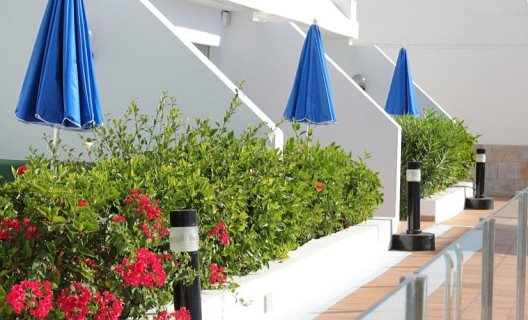 Apartamentos Sunsuite & Terraza Mar Suite