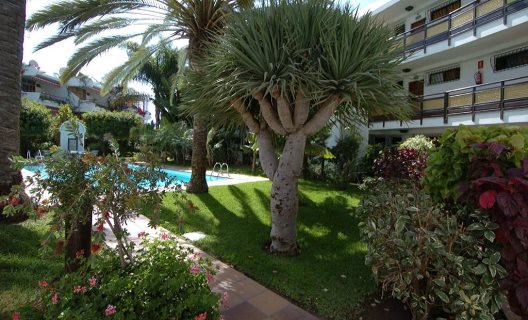 Apartamentos Taboga  Solo Adultos