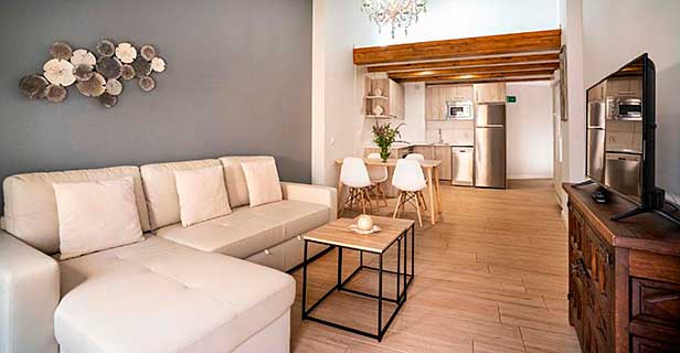 Apartamentos Terraza Ega
