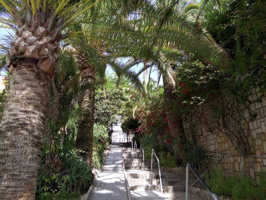 Apartamentos Torre De La Roca