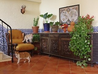 Apartamentos Vila Graciosa