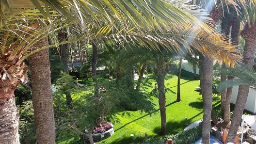 Apartamentos Villa Edén
