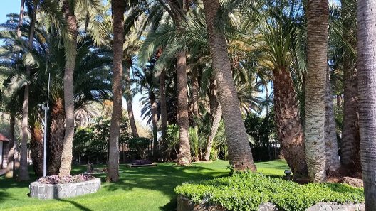 Apartamentos Villa Edén