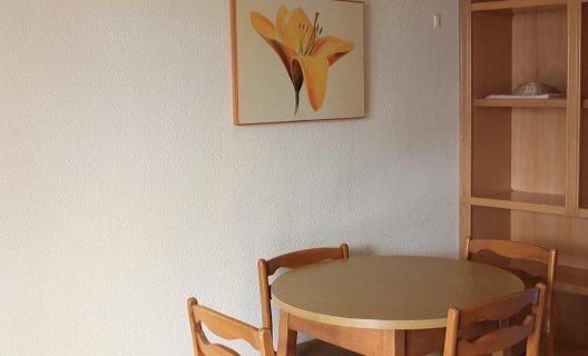 Apartamentos Viña Del Mar
