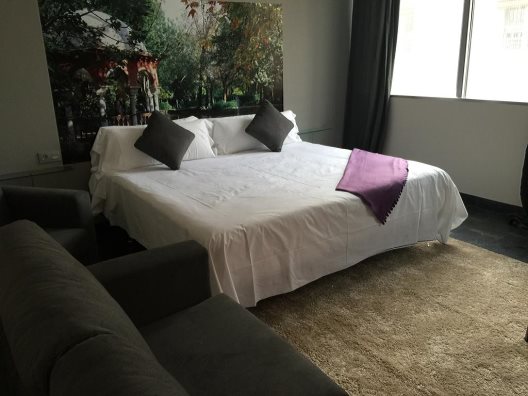 Apartamentos Vip Puro Centro