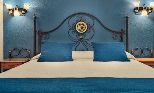 Apartamentos Y Suites Regency Torviscas