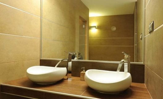 Apartamentos Y Suites Regency Torviscas