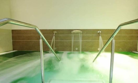 Apartamentos Y Suites Regency Torviscas