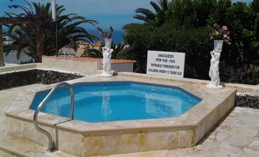 Apartamentos Y Suites Regency Torviscas
