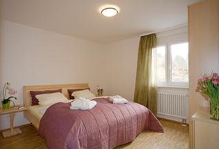 Aparthotel Alemannenhof