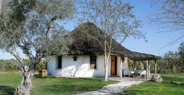 Aparthotel Ardea Purpurea