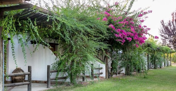 Aparthotel Ardea Purpurea