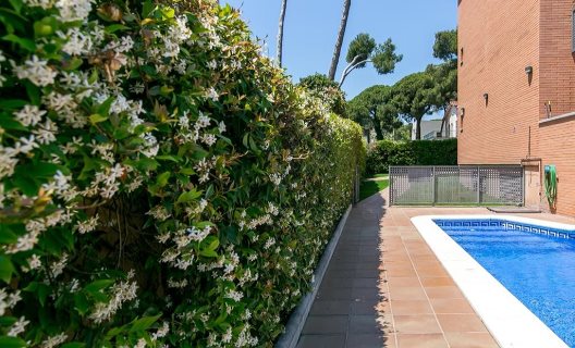 Aparthotel Bardon Golden Coast