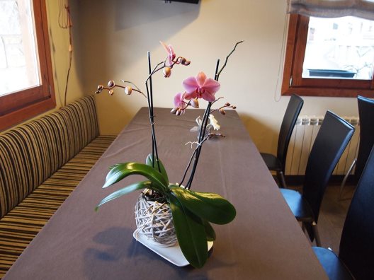 Aparthotel Bellver